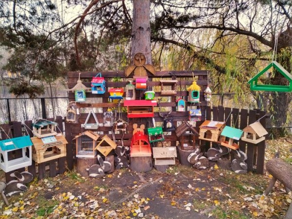 Омскому зоопарку подарили почти 100 мини-домиков Омскому зоопарку подарили почти 100 мини-домиков