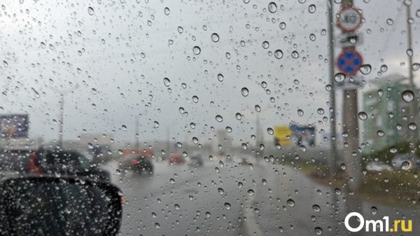 Готовимся к непогоде: омичам пообещали дождь, снег и сильный ветер
