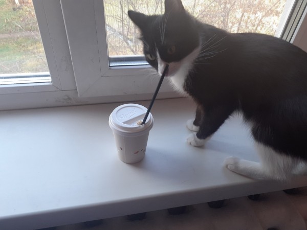 
									Омичам придется пить некачественный кофе? 