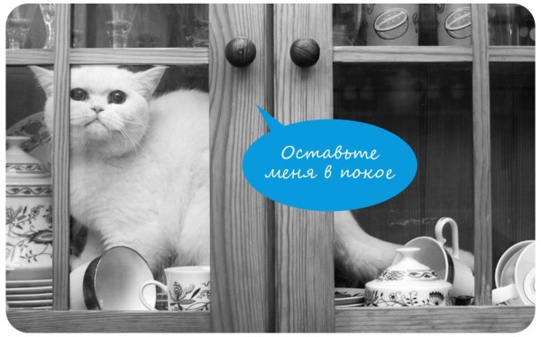 Кто куда, а каждый третий омич останется на новогодние выходные дома