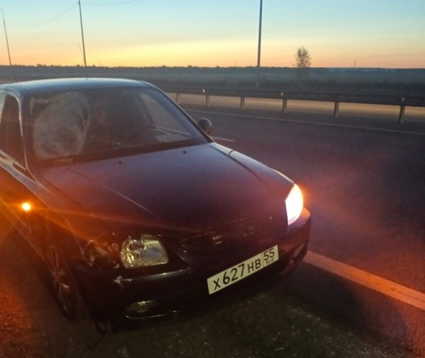 
									Омич, который шел ночью по трассе, поплатился за это жизнью 