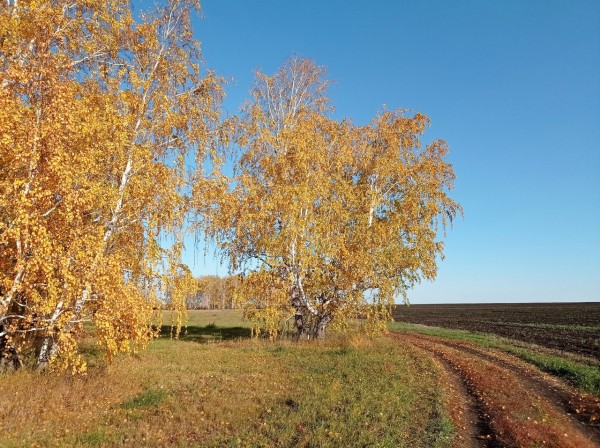 На выходных в Омской области потеплеет до +21 градуса
На выходных в Омской области потеплеет до +21 градуса