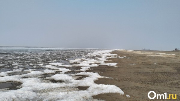 Качели от +21 до -9: о нестабильной погоде в октябре предупредили новосибирцев