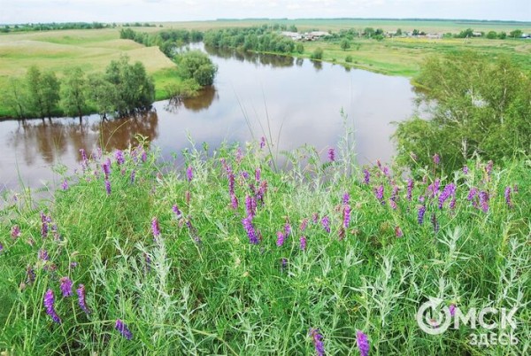 Гости из Чехии, Китая и Греции. Чем привлекает иностранных туристов Омская область