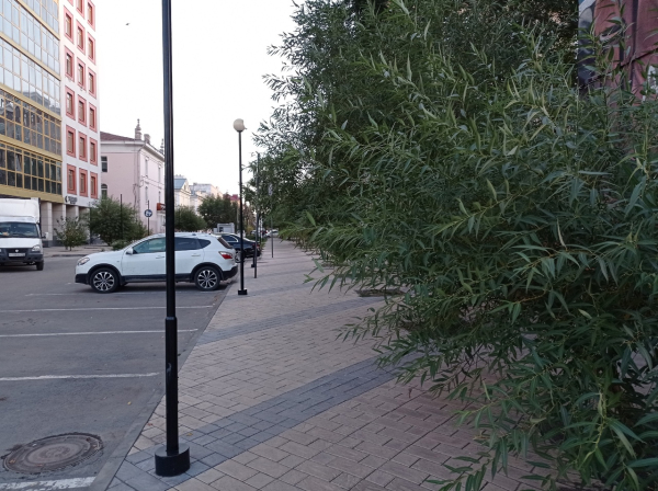 Многие омичи живут в идеальных дворах, но даже не подозревают об этом
Многие омичи живут в идеальных дворах, но даже не подозревают об этом