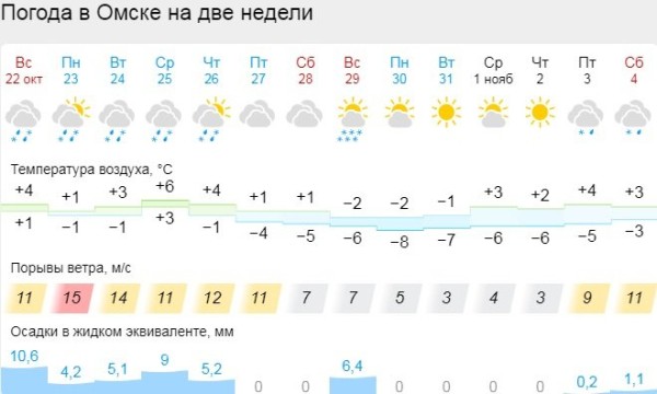 В Омске выпал первый снег