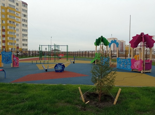 Многие омичи живут в идеальных дворах, но даже не подозревают об этом
Многие омичи живут в идеальных дворах, но даже не подозревают об этом