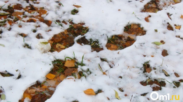 Омичам рассказали, когда ляжет постоянный снежный покров Омичам рассказали, когда ляжет постоянный снежный покров