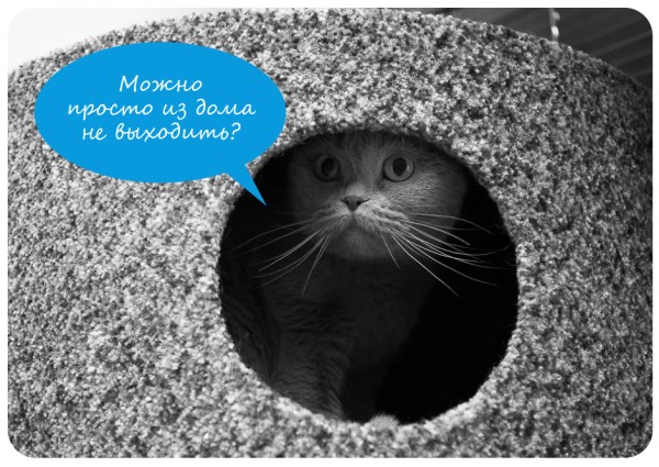 Кто куда, а каждый третий омич останется на новогодние выходные дома