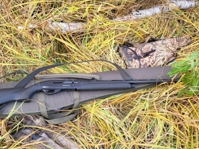 В Омской области двое охотников незаконно застрелили лосиху
В Омской области двое охотников незаконно застрелили лосиху