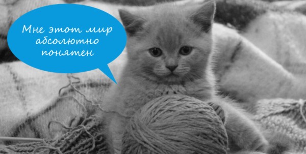 Кто куда, а каждый третий омич останется на новогодние выходные дома