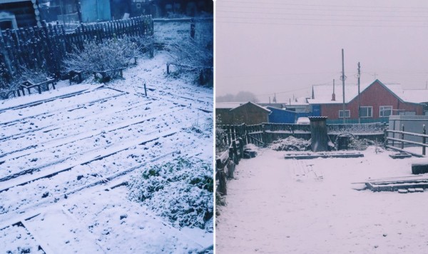 
									В Омской области выпал первый снег 