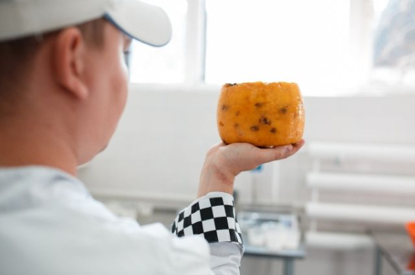 Рикотта, буррата и халлуми: кто делает крафтовые сыры в Омске?
Рикотта, буррата и халлуми: кто делает крафтовые сыры в Омске?