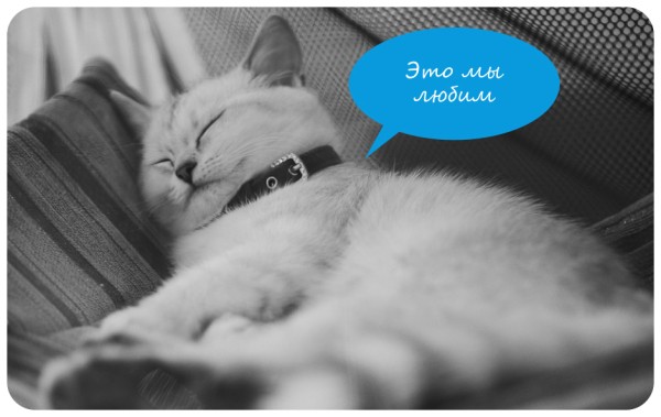 Кто куда, а каждый третий омич останется на новогодние выходные дома