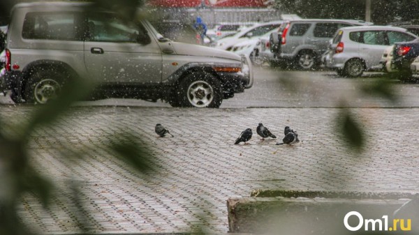 Пора переобуваться: в Омске похолодает до -4 Пора переобуваться: в Омске похолодает до -4