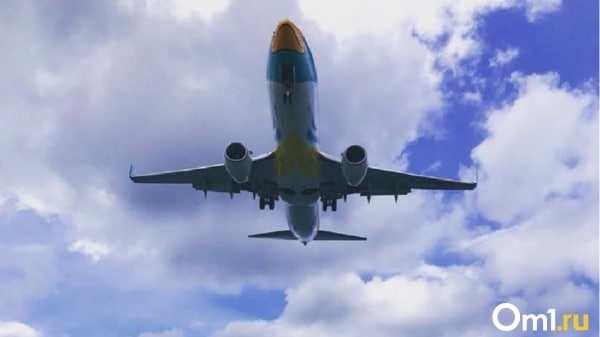 На рейсе из Омска допустили самую длинную задержку в России