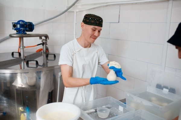 Рикотта, буррата и халлуми: кто делает крафтовые сыры в Омске?
Рикотта, буррата и халлуми: кто делает крафтовые сыры в Омске?