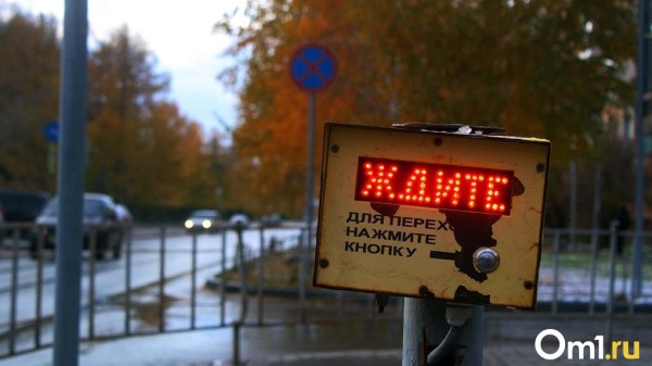 После морозов до -15 в Омск вернётся тёплая погода