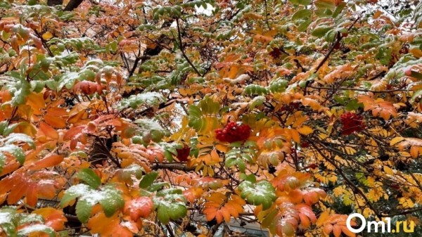В Омской области выпал первый снег