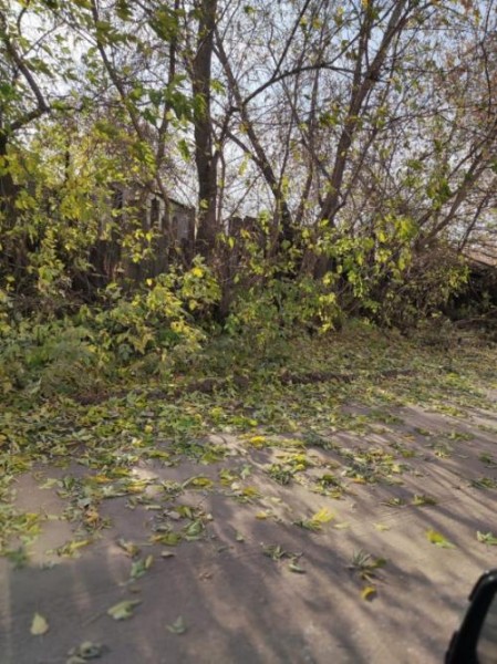 «Долгая дорога в дюнах» по омской улице Попова