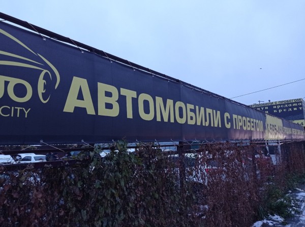 
									«Перекупы под крышей»: стоит ли омичам покупать подержанные авто в салонах?  