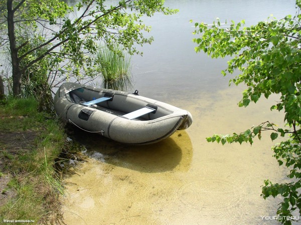 
									Омичи начали незаконно вылавливать стерлядь 