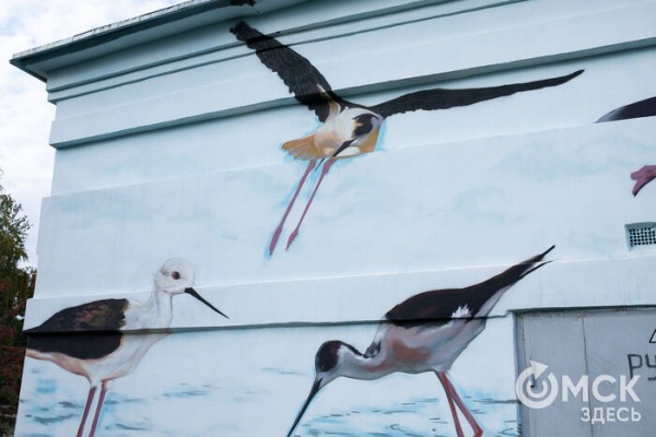 Краснокнижные птицы, как утерянные чувства. Обсуждаем пернатый стрит-арт