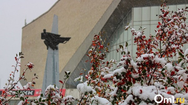 Первый снег в Омской области выпадет уже на следующей неделе