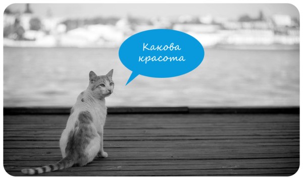 Кто куда, а каждый третий омич останется на новогодние выходные дома