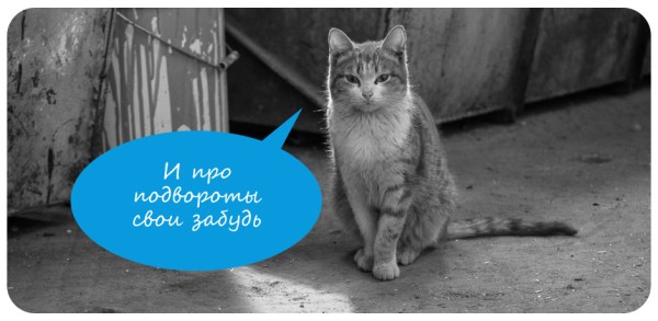 Кто куда, а каждый третий омич останется на новогодние выходные дома