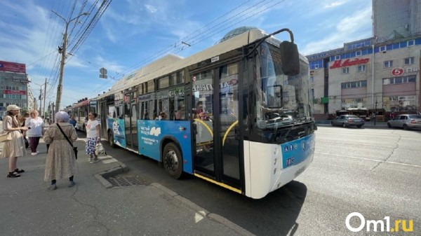 В Омске увеличится количество автобусов на двух популярных маршрутах