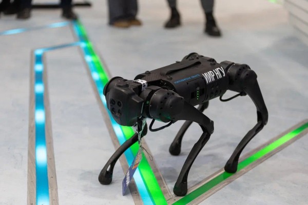 
									«Ангара», собака-робот и трехметровый скелет: чем омичей может удивить выставка на ВДНХ? 