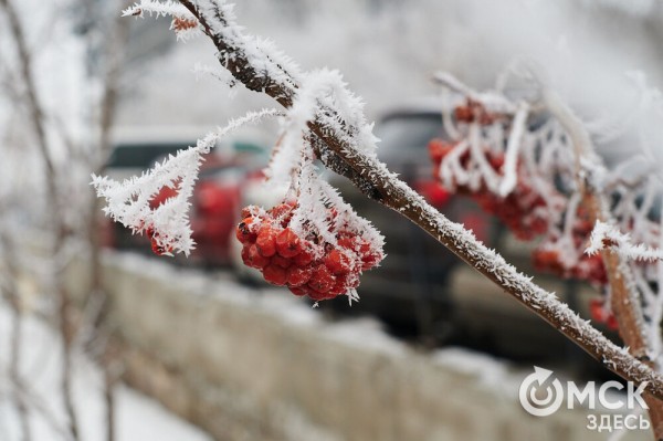 Город в инее: рассматриваем волшебные и холодные улицы Омска