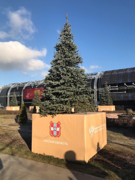 
									«Ангара», собака-робот и трехметровый скелет: чем омичей может удивить выставка на ВДНХ? 