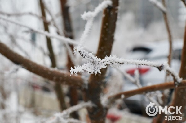 Город в инее: рассматриваем волшебные и холодные улицы Омска