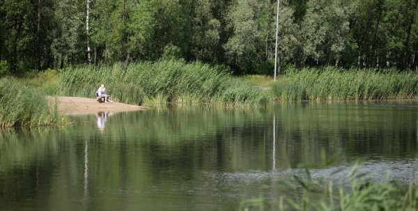 В природном заказнике под Омском обустроят пляж с ботаническим садом и зимними развлечениями
