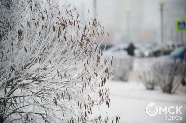 Город в инее: рассматриваем волшебные и холодные улицы Омска