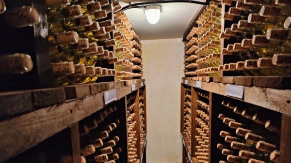 
									Бывший инженер «Полета» открыл под Омском крутую винодельню 