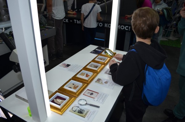 
									«Ангара», собака-робот и трехметровый скелет: чем омичей может удивить выставка на ВДНХ? 