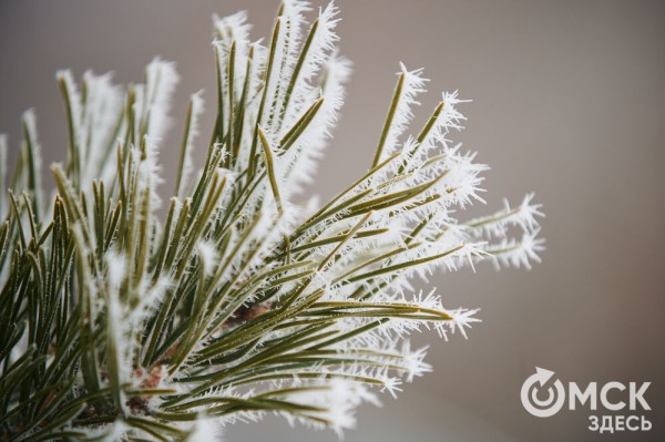 Город в инее: рассматриваем волшебные и холодные улицы Омска