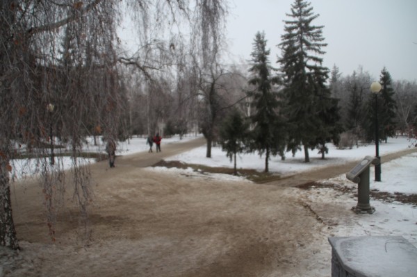 
									Омск превратился в гигантский бесплатный каток 