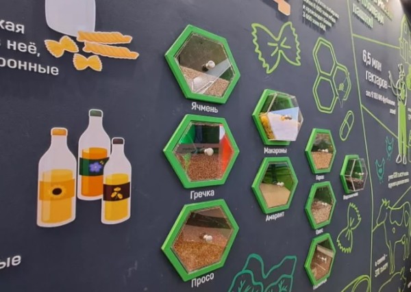 
									«Ангара», собака-робот и трехметровый скелет: чем омичей может удивить выставка на ВДНХ? 