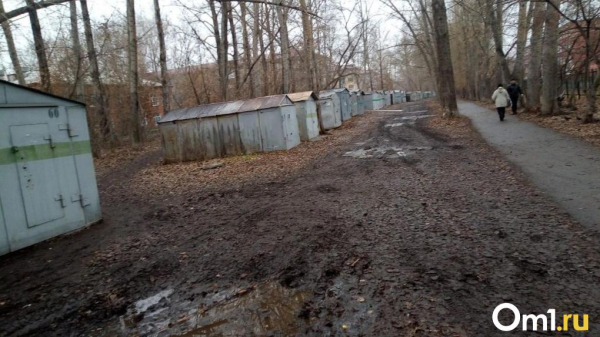 «Детей в школу водим с фонариками». Омичи пожаловались на темноту и гаражи