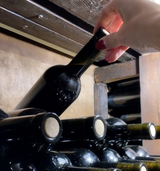 
									Бывший инженер «Полета» открыл под Омском крутую винодельню 