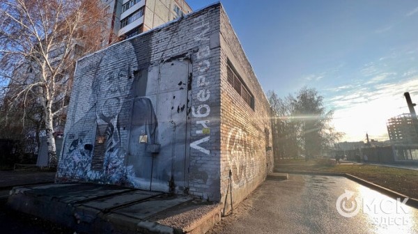 На карте Омска появится новый сквер