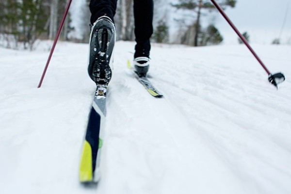 
									Не оливье единым: где отдохнуть омичам на новогодних каникулах? 