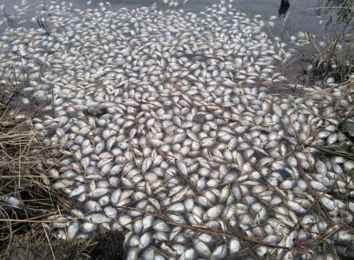 Развалин нам не надо: почему власти Калачинского р-на в упор не замечали полуразрушенную дамбу