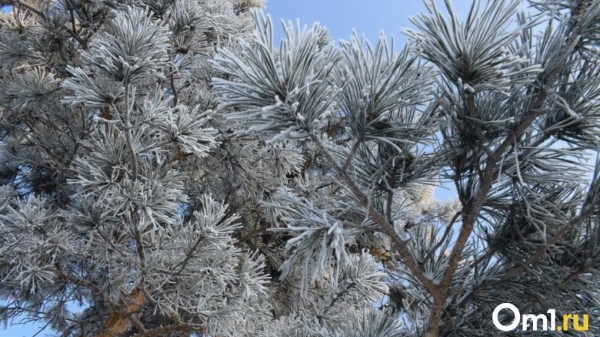 На Омск надвигаются температурные перепады от ноля до -33 градусов На Омск надвигаются температурные перепады от ноля до -33 градусов