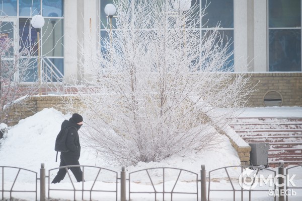 Гирлянды, пиротехника и толпа людей. Как безопасно провести новогодние каникулы Гирлянды, пиротехника и толпа людей. Как безопасно провести новогодние каникулы