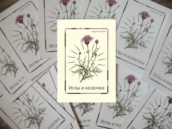 
									Лекарства от хандры и не только: 11 книг омских писателей, которые вышли в этом году 